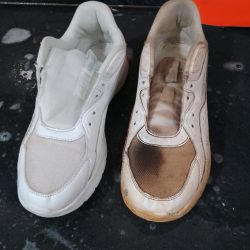 WhatsApp Image 2026-04-13 at 12.42.48